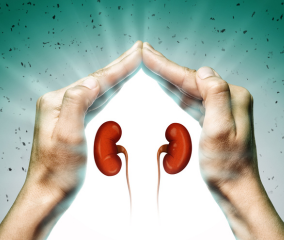 Electropathy Treatment in Punjab for Kidney Health